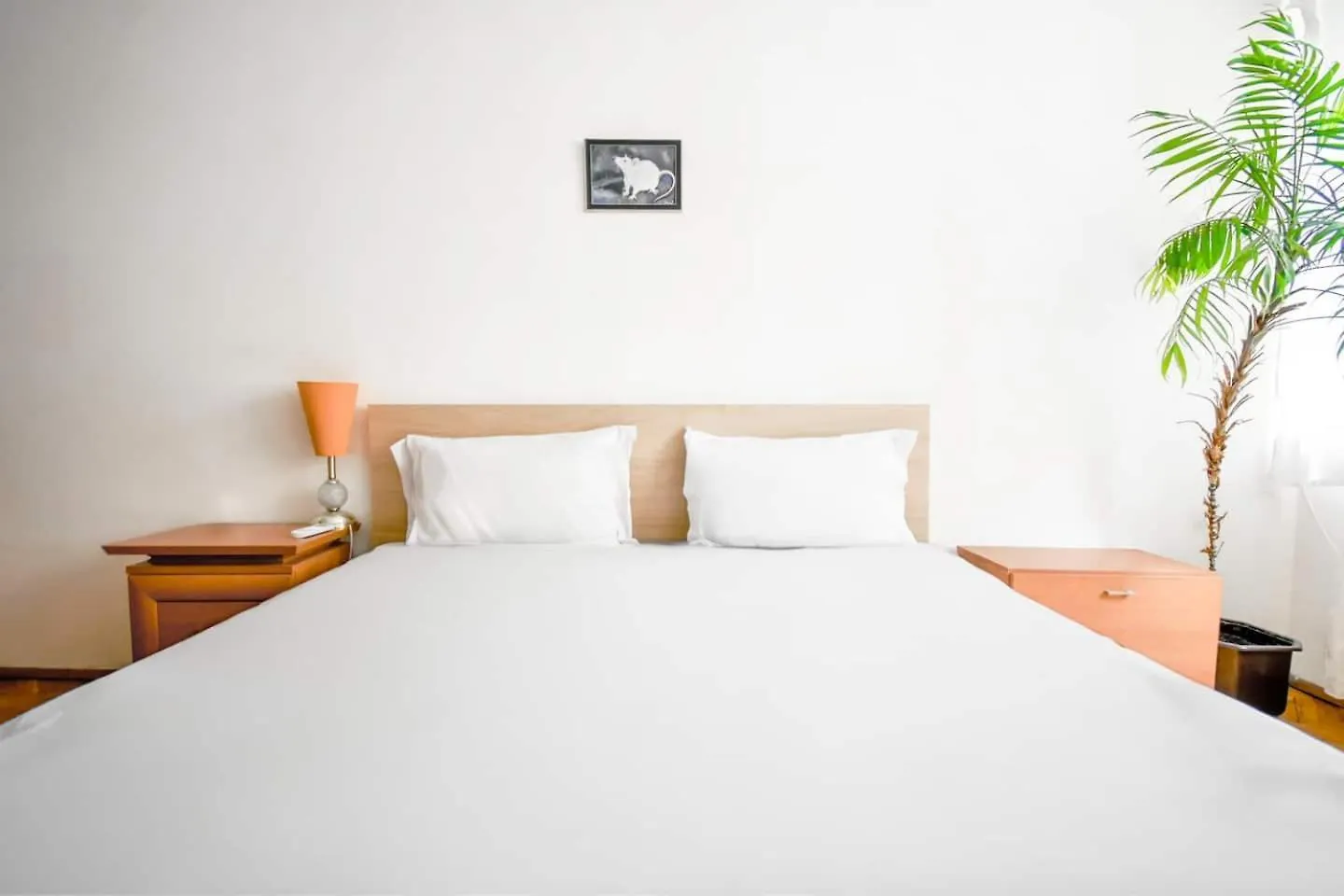 1Bdr Quiet Str Vitoshka Area Ac Apartment Sofia Bulgaria